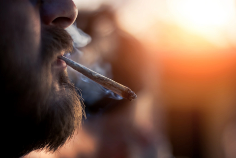 fumeur de cannabis